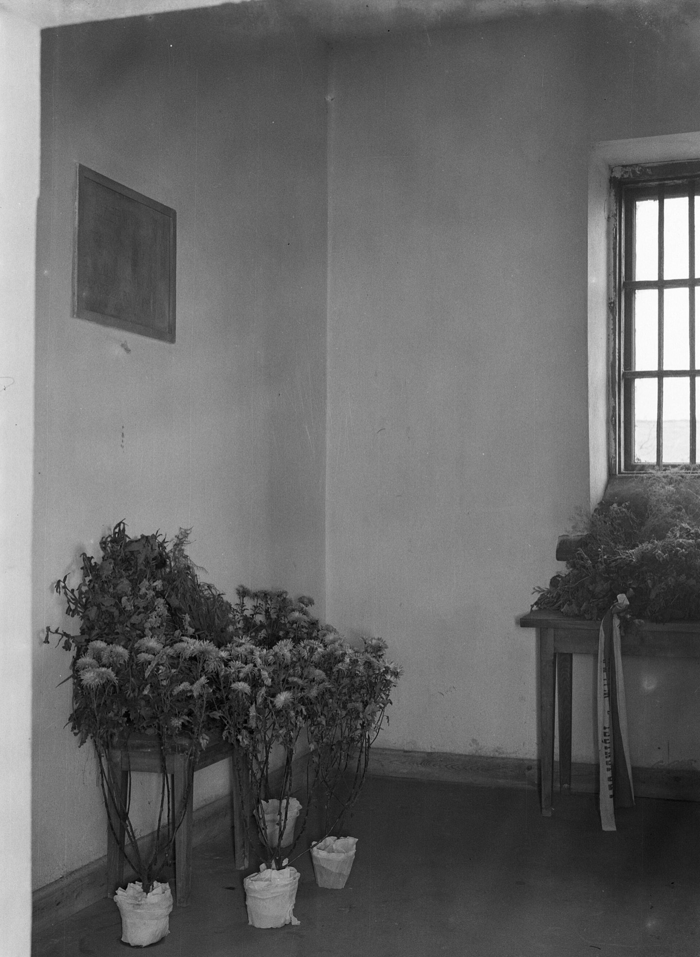 Cela więzienna z tablicą pamiątkową w X Pawilonie, 1934